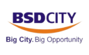 Property BSD City